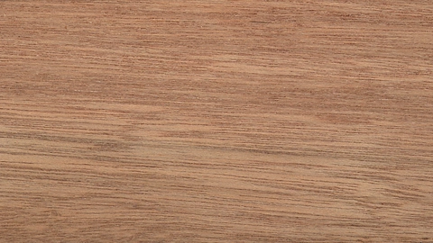 Holzart Meranti Holzart Meranti